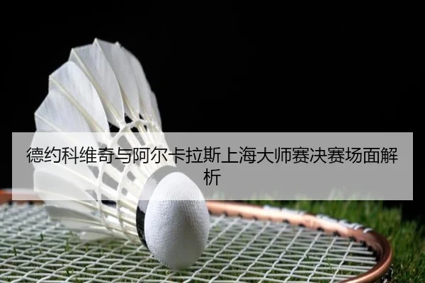 德约科维奇与阿尔卡拉斯上海大师赛决赛场面解析（haosports）